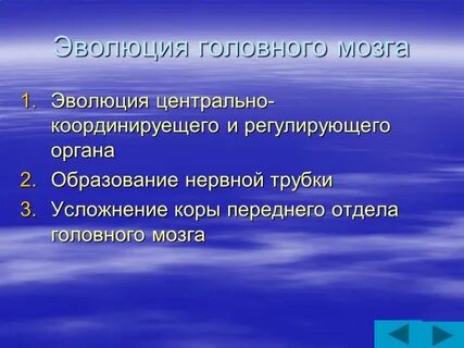 Среда конфликта
