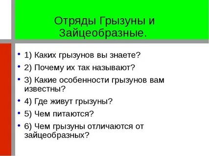 Запишите признаки грызунов