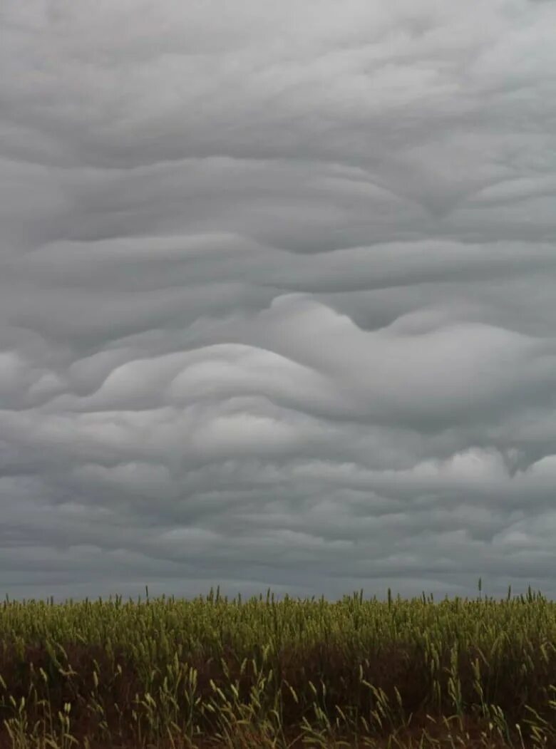 Adams cloud