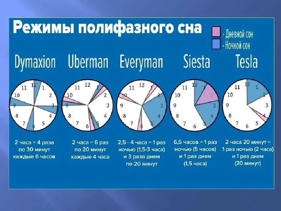 Режимы полифазного сна. Методика сна 4 часа. Методики полифазного сна. Лучший график сна.