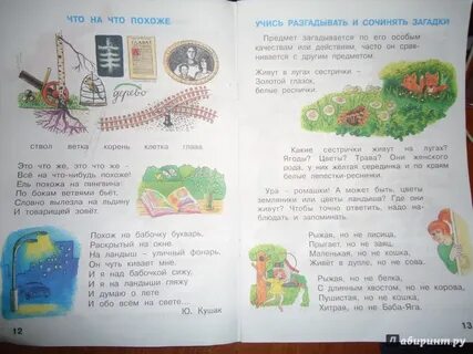 Загадка стоят в лугах сестрички золотой