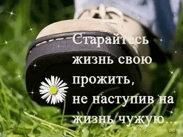 Жить жизнь д. Старайтесь жизнь свою прожить не наступив на жизнь чужую. старайтесь жизнь свою прожить. живите своей жизнью. прожить не свою жизнь.