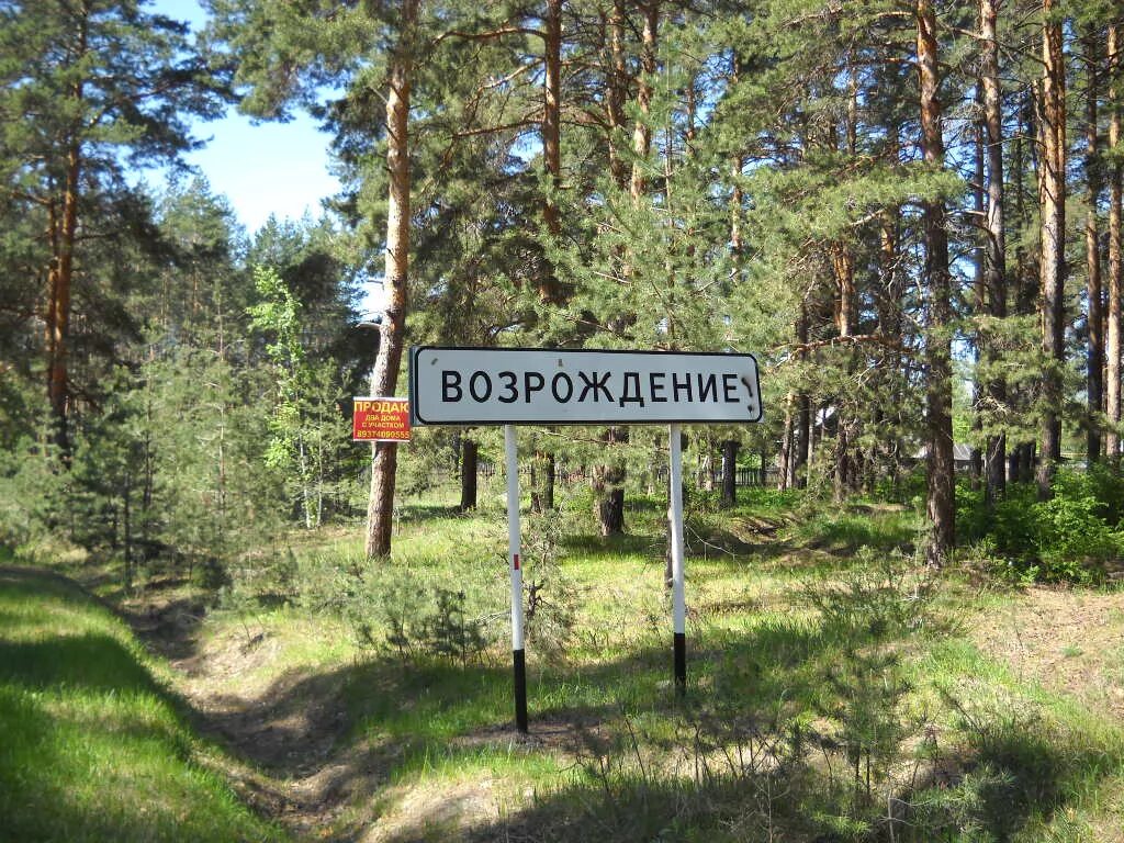 Возрождение выборгский