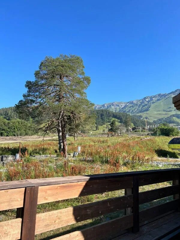 восхитительный пейзаж. рассвет солнца. поляна наслаждалась солнцем и пила поднебесную. поляна наслаждалась солнцем и пила поднебесную. поляна наслаждалась солнцем и пила поднебесную.