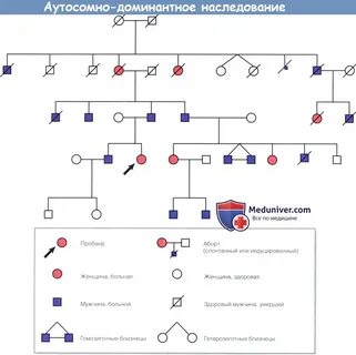 Псевдо аутосомное наследование