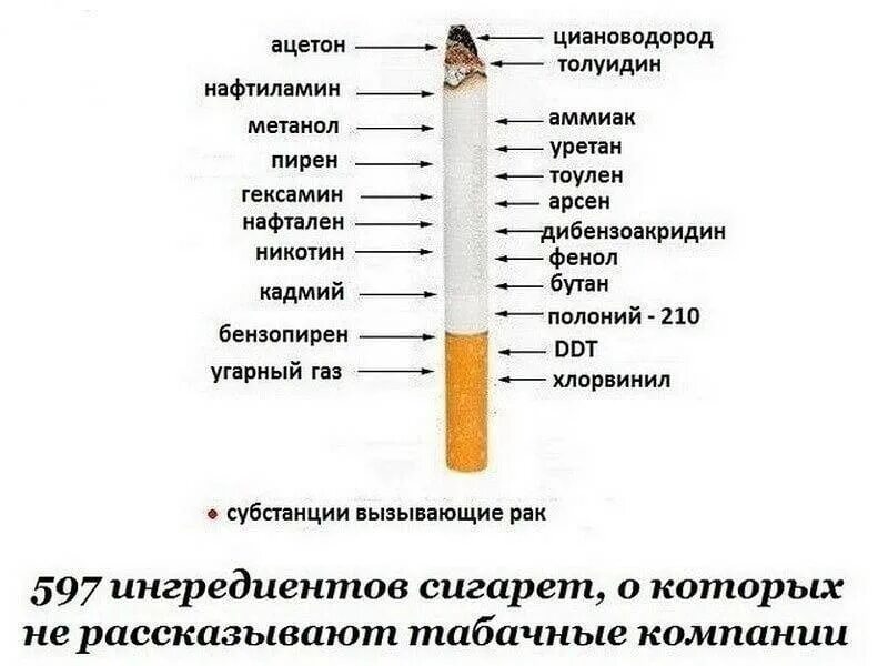 Из чего состоит никотин