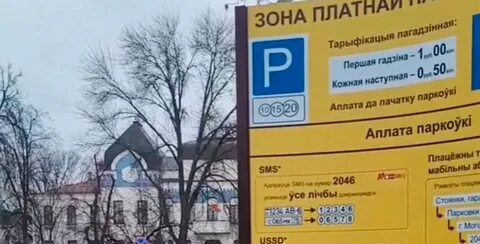 Платный центр могилев
