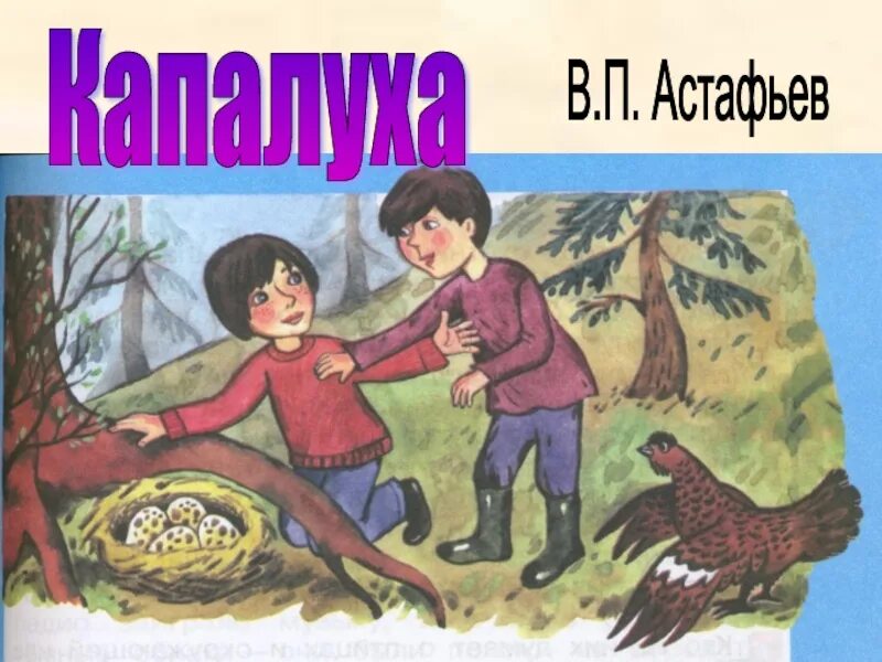 Произведение в п астафьева капалуха. Капалуха Астафьев. Капалуха Астафьев рисунок.