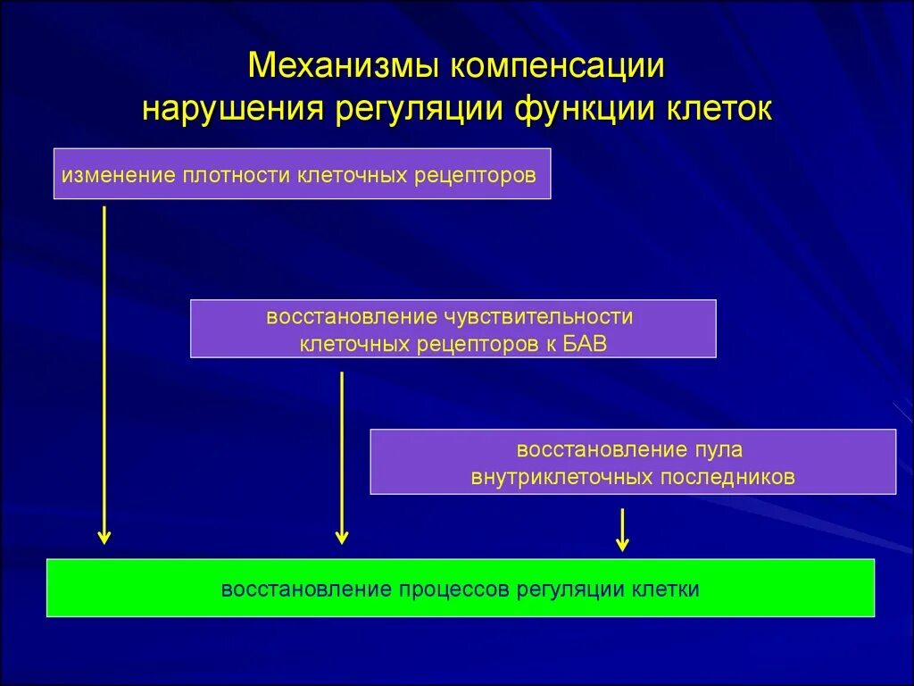 Компенсация нарушений функций. Компенсация нарушений функций