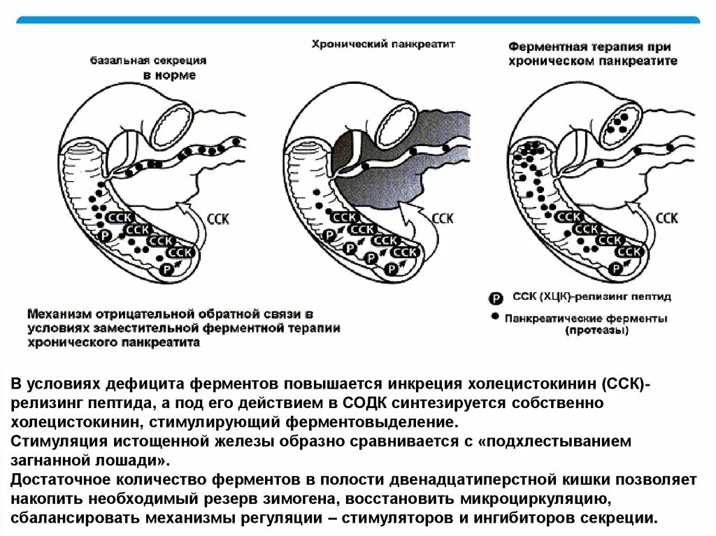 Ферменты поджелудочной железы таблица. Диагностическое значение определения амилазы. Амилаза в крови и моче при панкреатите. Исследование панкреатических ферментов в крови при панкреатите. Повышение активности ферментов в моче.