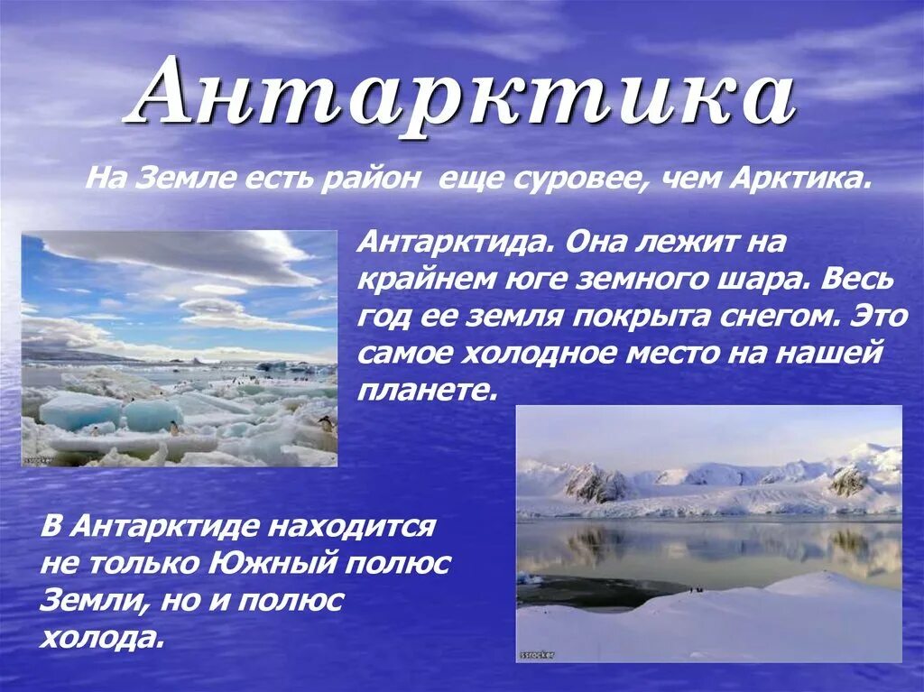 Арктика и антарктика. Арктика и антарктика для дошкольников. Презентация арктика и антарктика для дошкольников. Арктика северный полюс. Животные антарктики презентация.