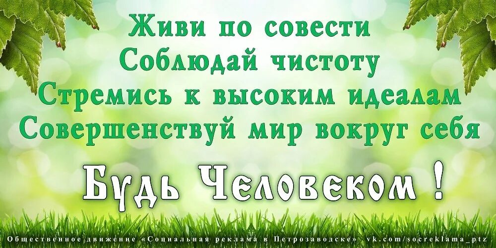 Чистота цитаты. Высказывания о чистоте и порядке. Фразы про чистоту. Цитаты про чистоту. Фразы про чистоту и порядок.