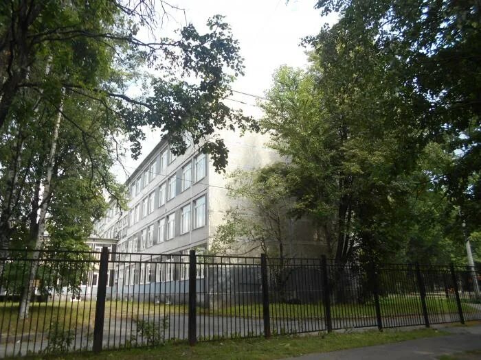 Школа 69 калининского района. Школа 128 калининского района. Школа 81 калининского района. Школа 81 санкт петербург. Школа 81 калининского района спб.