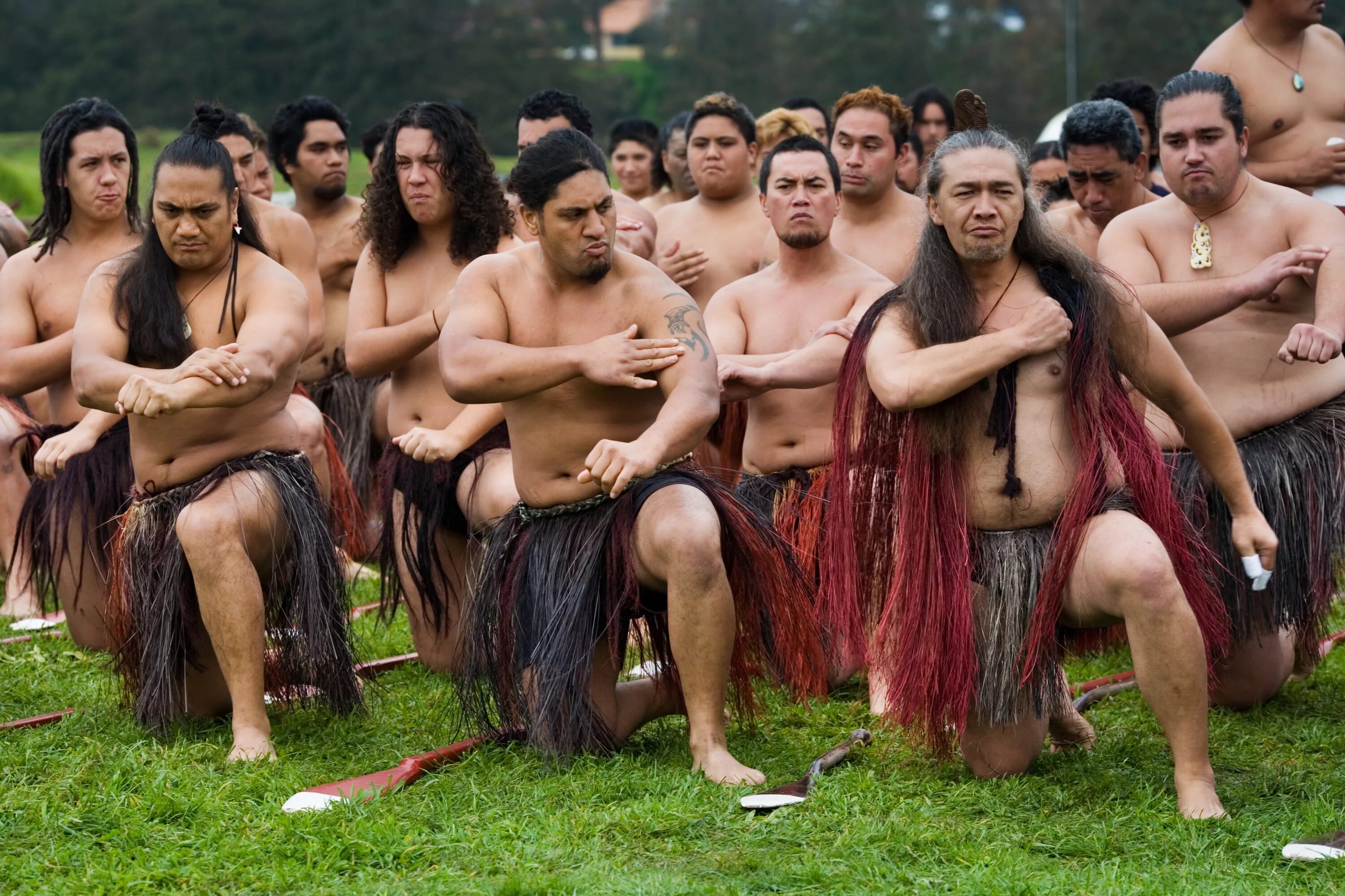 Новозеландия Маори. Маори танец хака. Танец хака в новой Зеландии. Племя Маори в новой Зеландии.