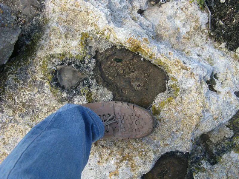 нашли скрытый мир. пирамиды хеопса инопланетяне. сирено головы в реальной жизни. загадочные истории человечества. нашли скрытый мир.