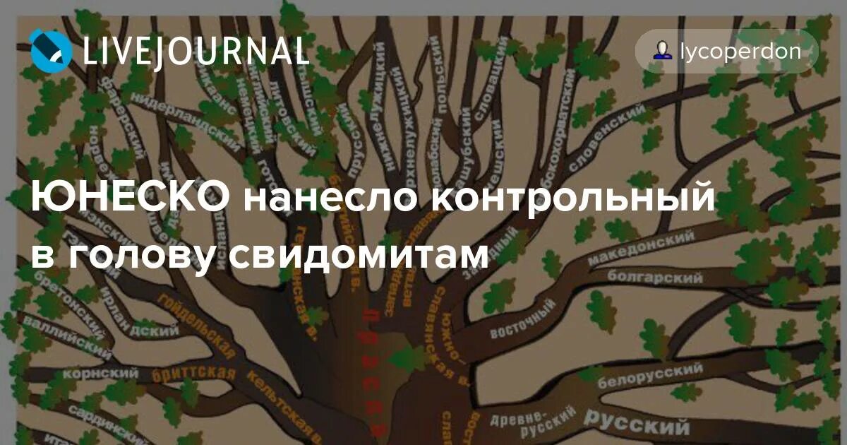 Древа юнеско. Древо языков юнеско. генеалогическое древо языков. древо языков юнеско украинский язык.