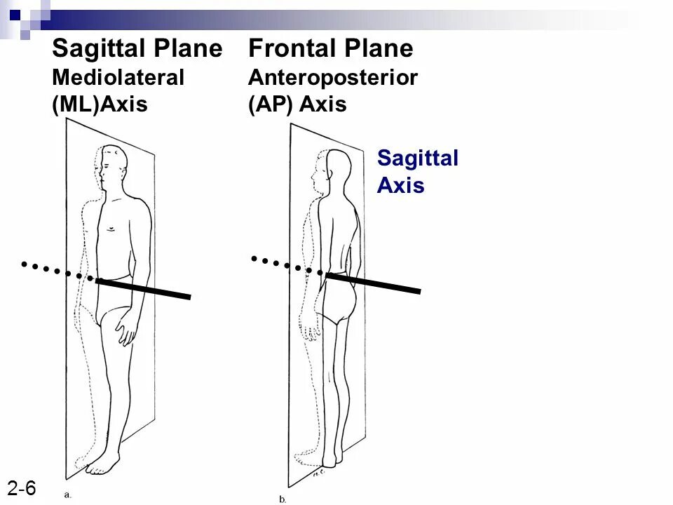 Axis user. Frontal axial sagittal. frontal sagittal plane. longitudinal axis.