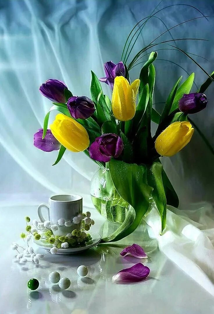 Доброе весеннее утро с тюльпанами. Весенние цветы. Весенний натюрморт. Натюрморт с весенними цветами. Доброго весеннего дня.