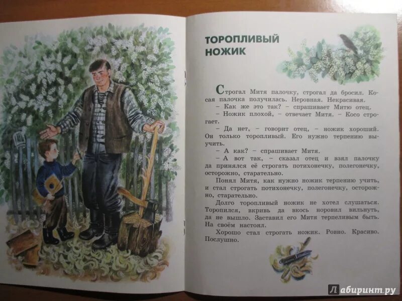 Произведение е а пермяк торопливый ножик. ПЕРМЯК сказка торопливый ножик.