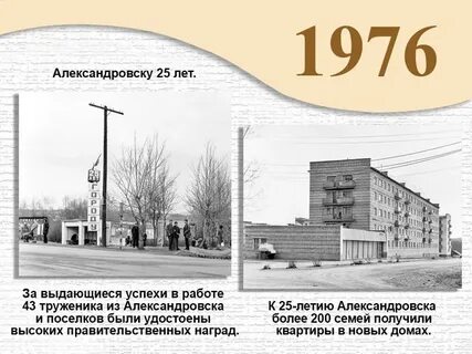 Сетевой александровск