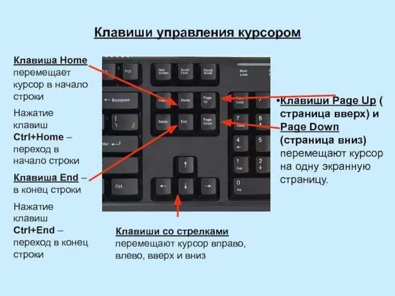 Как выделить файлы с помощью клавиатуры. Как скопировать кнопками клавиатуры. как на компьютере вставить скопированный текст с помощью клавиатуры. как вставить копирование клавиатурой. как вставить копию на клавиатуре.