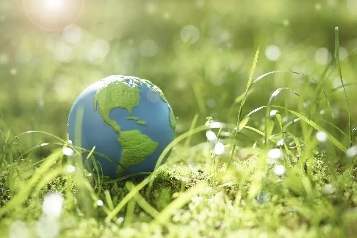 Environment pictures