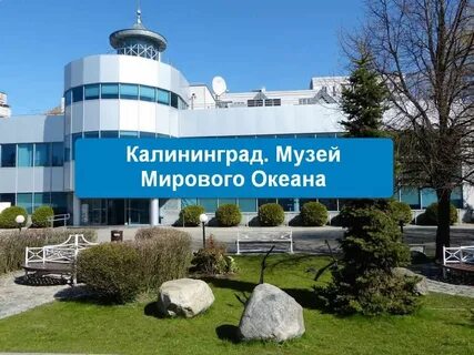 Экскурсия мирового океана в калининграде