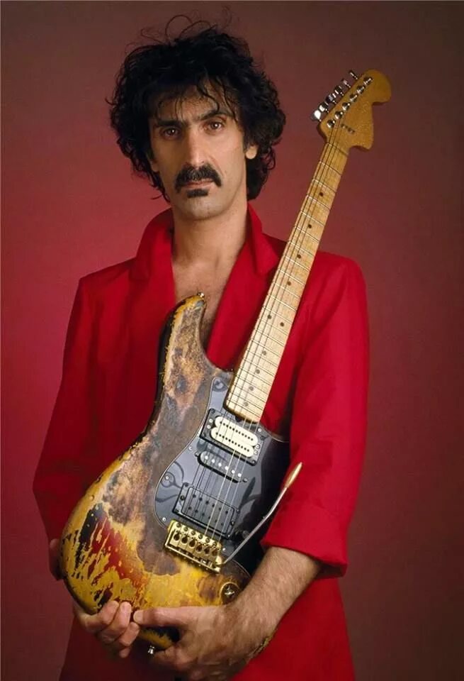Фрэнк заппа википедия. Фрэнк заппа. frank zappa 1993. фрэнк заппа музыкант. фрэнк заппа фото.