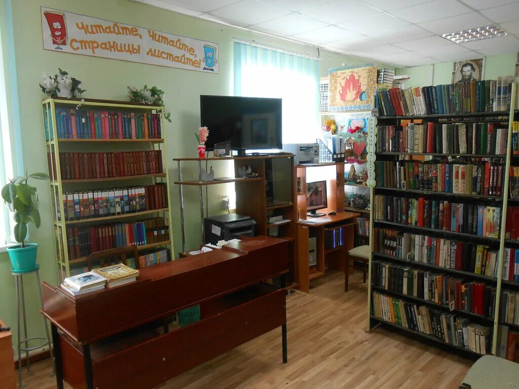 Библиотеки красного села