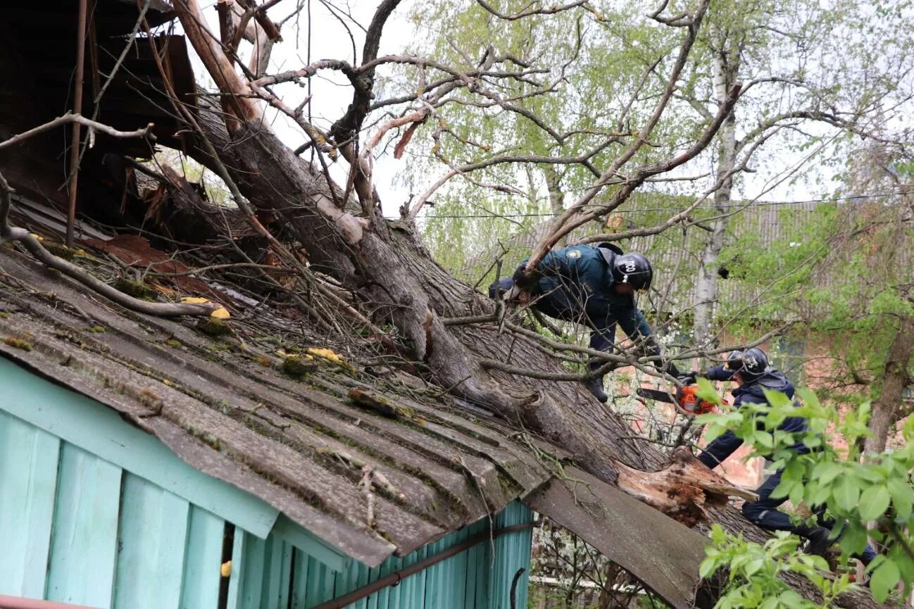 Ураган в мурте. Дерево упало на частный дом. ураган в орле.