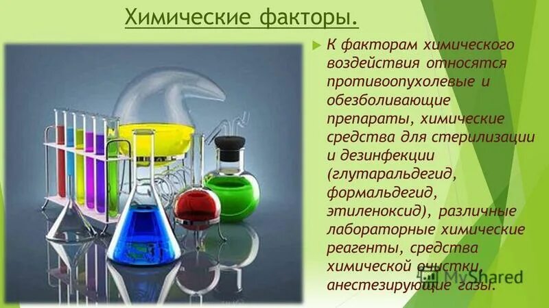 Бытовая химия факторы. Бытовая химия факторы