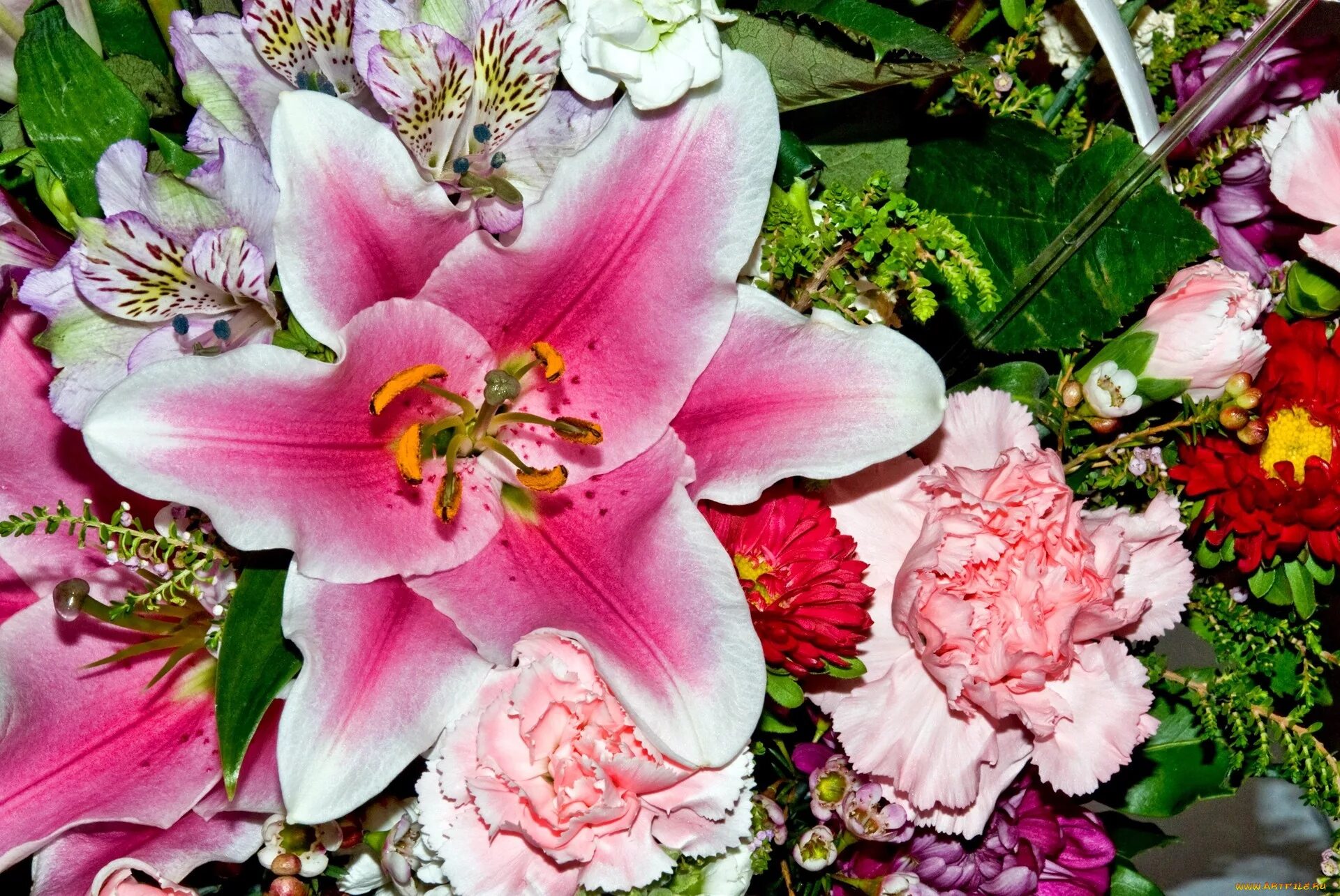 Букет лилии с гвоздиками. Гвоздика кустовая шабо. Розы гвоздики лилии. Букет роза хризантема гвоздика. Гвоздики лилии лилии розы.