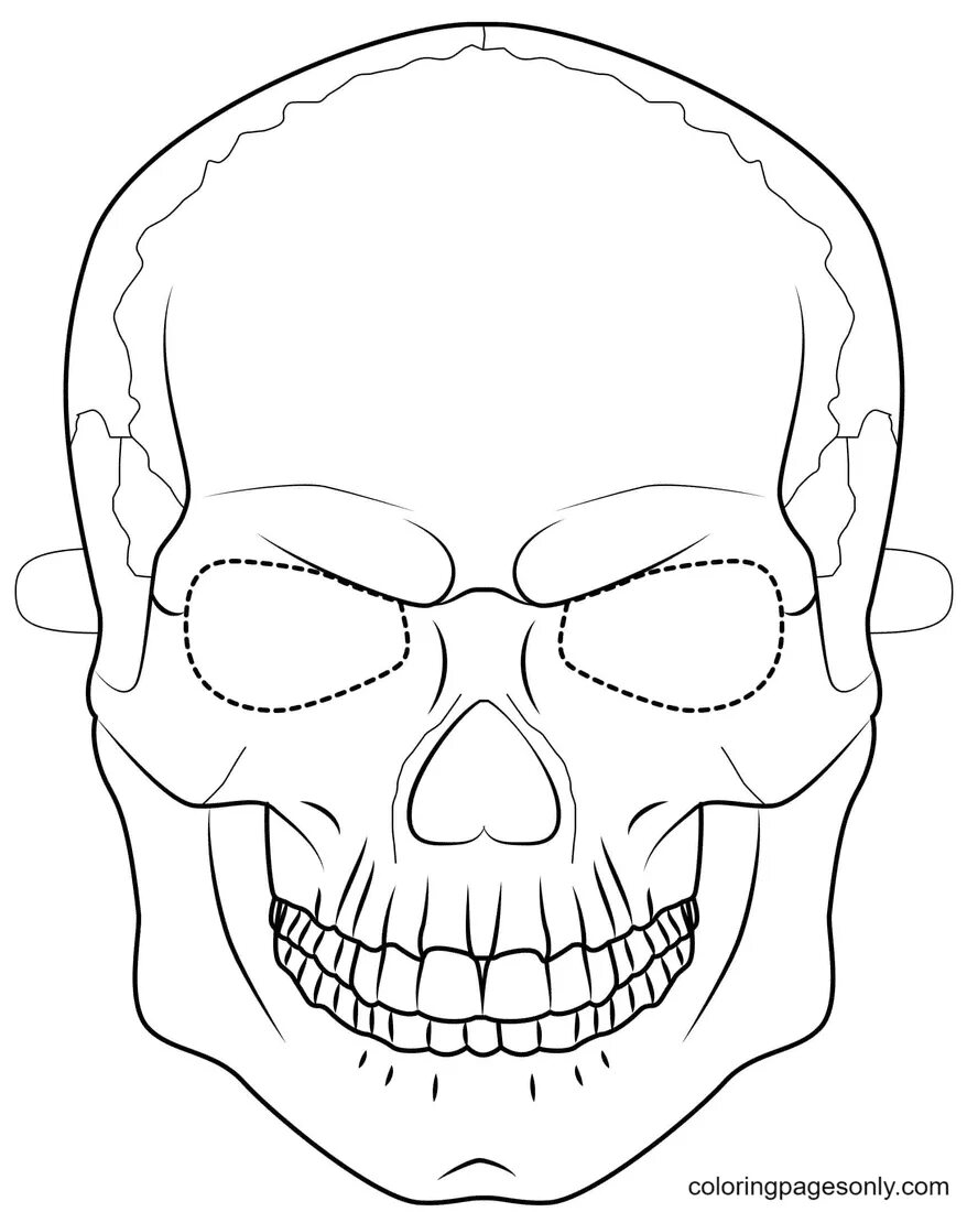 Рисунки черепов поэтапно. Череп нарисовать ребенку. Череп нарисовать ребенку. Рисунок черепа карандашом пошагово. Череп нарисовать ребенку.