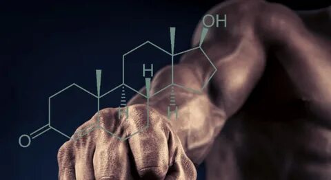 Και όμως - Πως η τεστοστερόνη συνδέεται με τα "καβούρια στις τσέπες"! - Pronews.