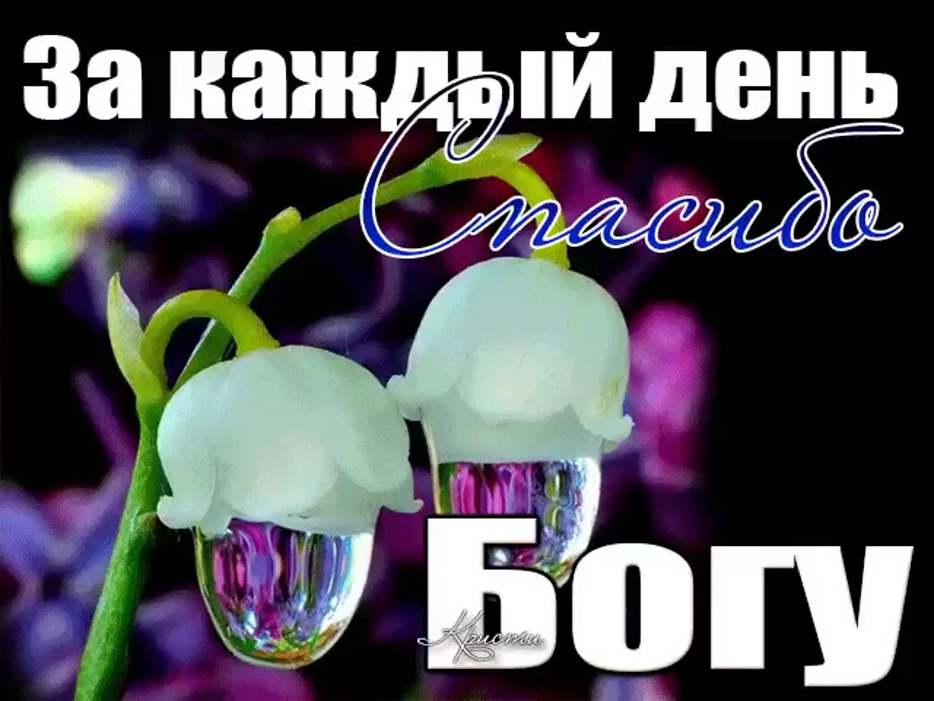 Спасибо за новую меня. Спасибо Господу за новый день. Слава Богу ща новый день. За каждый день спасибо Богу. Благодарим Бога за новый день.