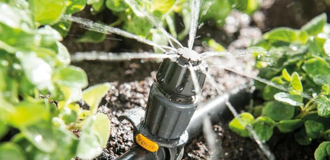 Спринклер капельный полив. Капельное орошение огорода. Шланги для полива огорода. Разбрызгиватель/дождеватель gardena. Лейка гардена.