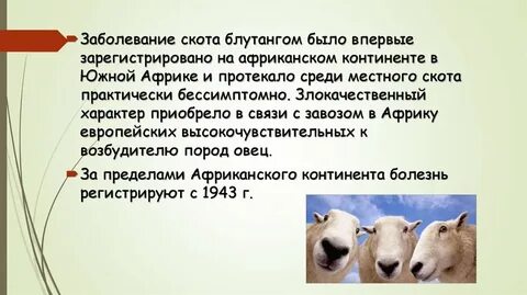 История болезни крс