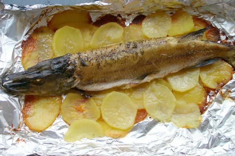 Щука запеченная в фольге с овощами. Щука с овощами в духовке целиком. Щука с картошкой в духовке. Щука запеченная в духовке. Рыба с картошкой в духовке.