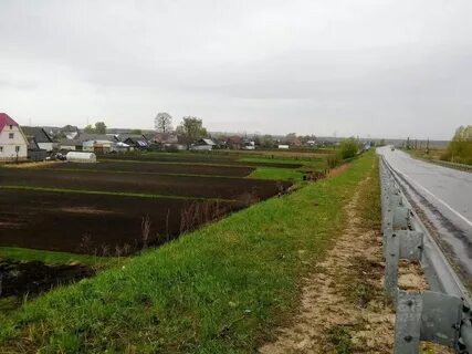 Деревня березники