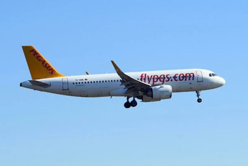 Pegasus airlines зарегистрироваться. Pegasus airlines.