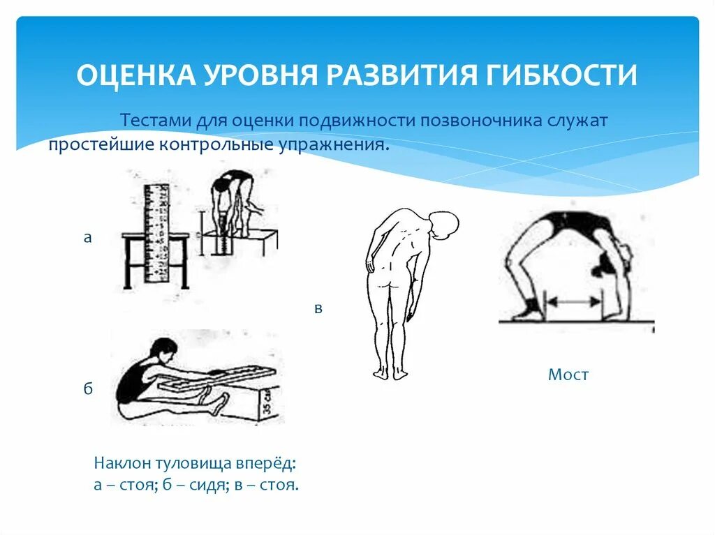 Проверить уровень развития. Контрольные упражнения (тесты) определения уровня развития гибкости. Упражненияяразвития гипкости дл. Упражнения для совершенствования гибкости. Упражнения на оценку гибкости.