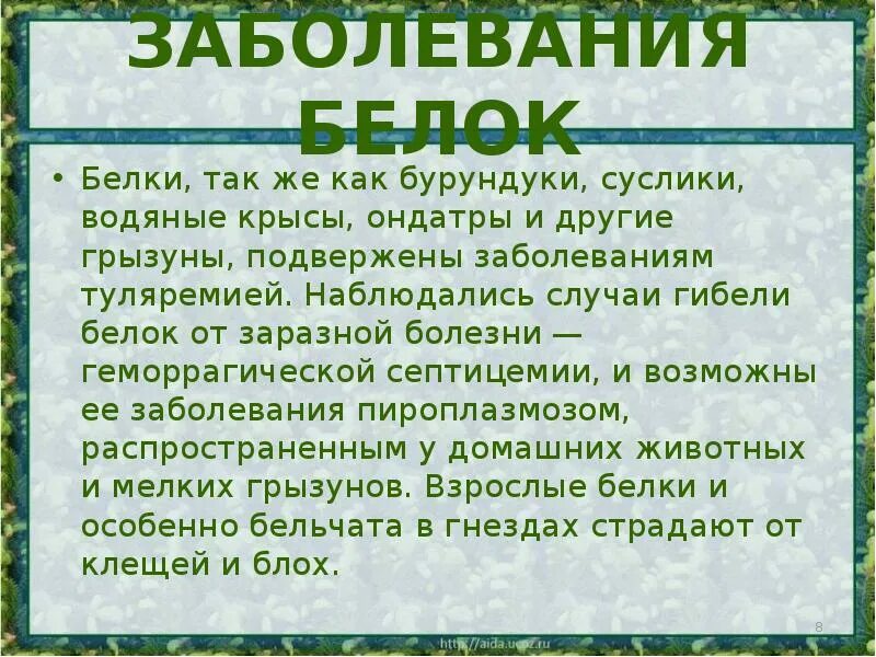 Болезнь белка как называется
