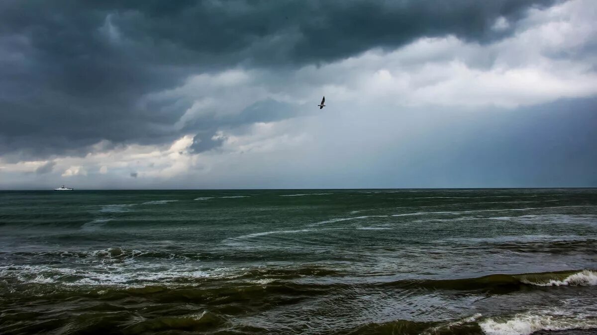 Дождь над морем. Дождь море слушать. Пасмурное море. Дождь море слушать. Дождливое море.