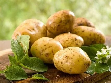 Картошка 8