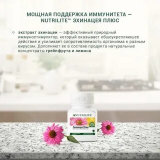Эхинацея плюс