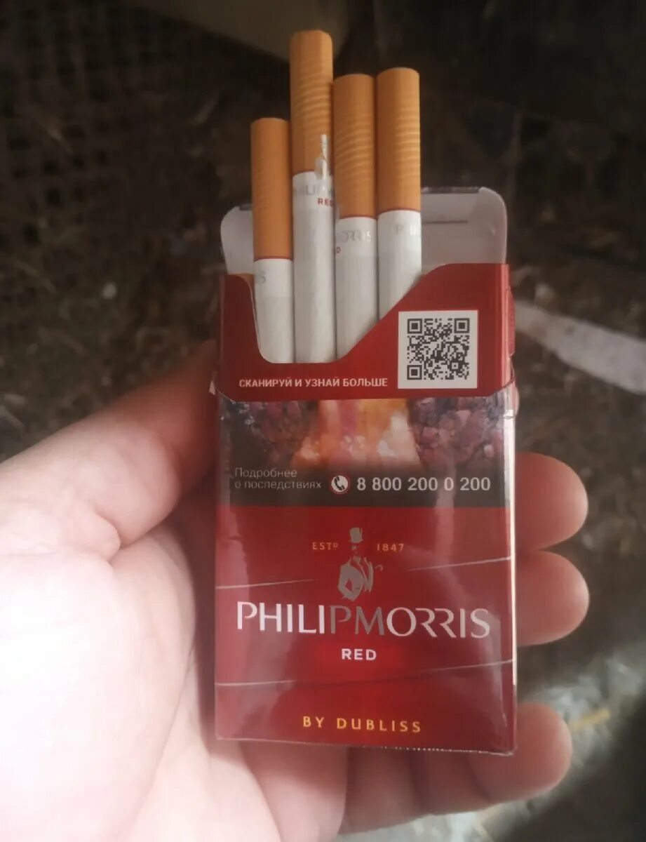 Сигареты Филип Моррис Экзотик. Сигареты Philip Morris Red. Сигарет Philip Morris рыжий.