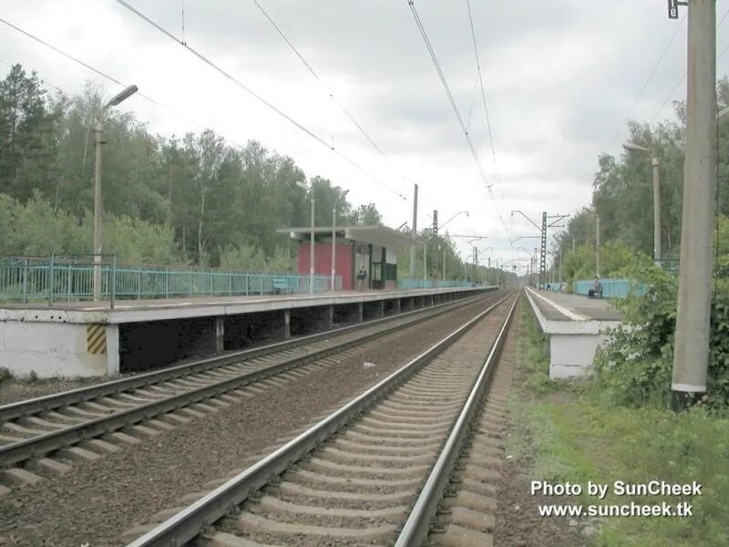 Совхоз (платформа мжд). Погода в загорново. Платформа загорново. Электричка отдых загорново. Станция бронницы.