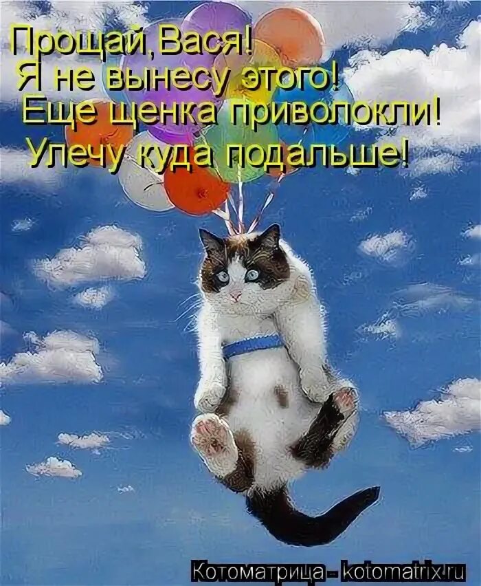 Двух не вынесет. Прощай Вася. Я этого не вынесу. Прости меня Вася. Смешные картинки с надписями Прощай Вася.