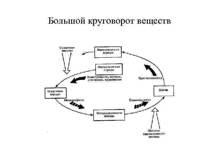 Какие круговороты веществ на земле вы знаете. Геологический круговорот веществ. Биологический малый круговорот веществ схема. Схема биологического круговорота. Биологический круговорот таблица.