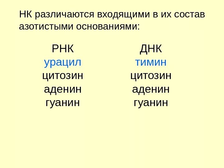 ДНК аденин гуанин цитозин Тимин. Тимин гуанин цитозин аденин таблица. Таблица гуанин цитозин Тимин РНК ДНК. Аденин гуанин цитозин Тимин урацил таблица.